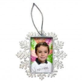 FNS4570 - FLOCON NEIGE SUSPENSION
