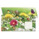 POCHETTE 22X32 à fenetre