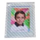 PLASTIQUE INVIOLABLE 26X35